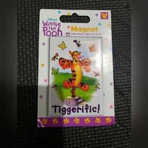 BN TIGGER Magnet ..... Tiggerific!